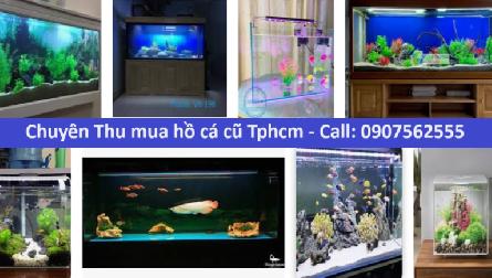 Thu mua hồ cá cũ Tphcm - Call: 0907562555