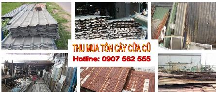 ĐƠN VỊ CHUYÊN MUA TÔN CÂY CŨ GIÁ CAO TẠI TPHCM